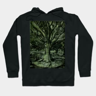 Live Oak Tree Hoodie